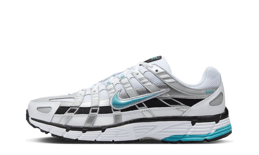 Nike P-6000 Dusty Cactus