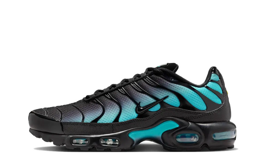 Nike Air Max Plus TN Black Dusty Cactus