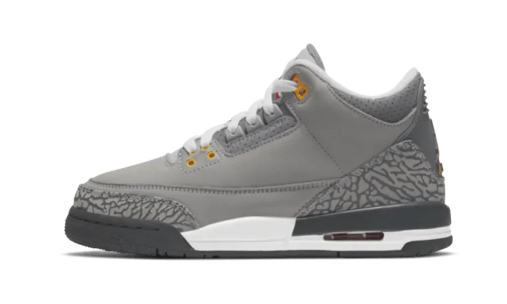 Air Jordan 3 Retro GS Cool Grey 2021