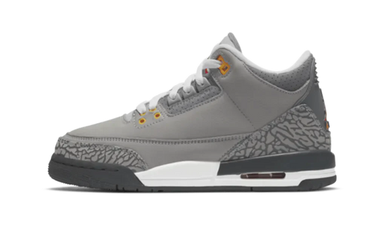 Air Jordan 3 Retro GS Cool Grey 2021