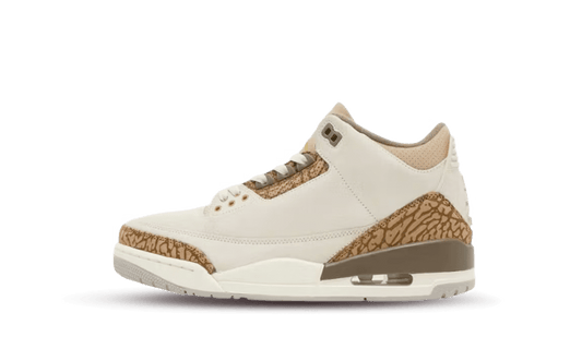 Air Jordan 3 Retro GS Palomino